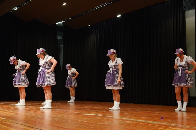 umzug simmern_140301_vb_331